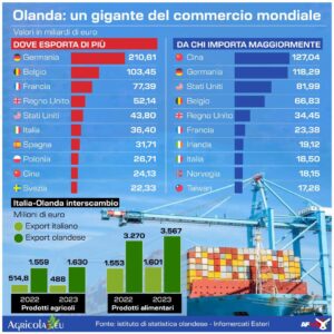 INFOGRAFICA-HUB-COMMERCIALE-OLANDA-EFFETTO-ROTTERDAM